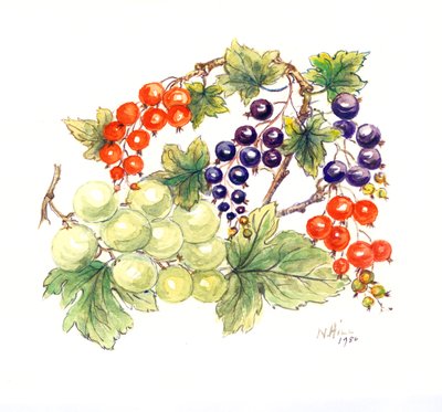 Black and Red Currants with Green Grapes by Nell Hill